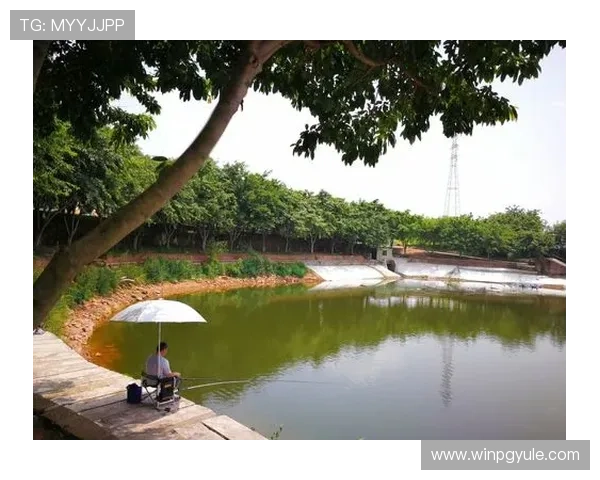 探索AG捕鱼王2隐藏秘技,提升捕鱼效率轻松击败大鱼赢取丰厚奖励体验非凡捕鱼乐趣 探索AG捕鱼王2隐藏秘技,提升捕鱼效率轻松击败大鱼赢取丰厚奖励体验非凡捕鱼乐趣