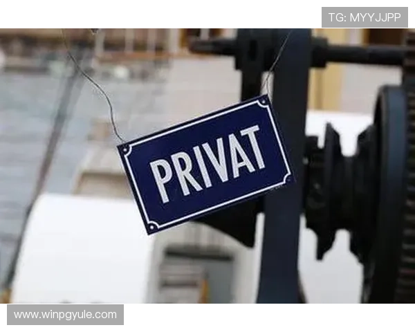 凯发真人集团有限公司在全球市场的布局与合作伙伴关系，探索国际化发展新机遇