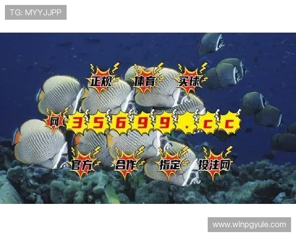 快速注册bg视讯官网账号的实用技巧,助你畅享丰富的线上游戏内容 快速注册bg视讯官网账号的实用技巧,助你畅享丰富的线上游戏内容